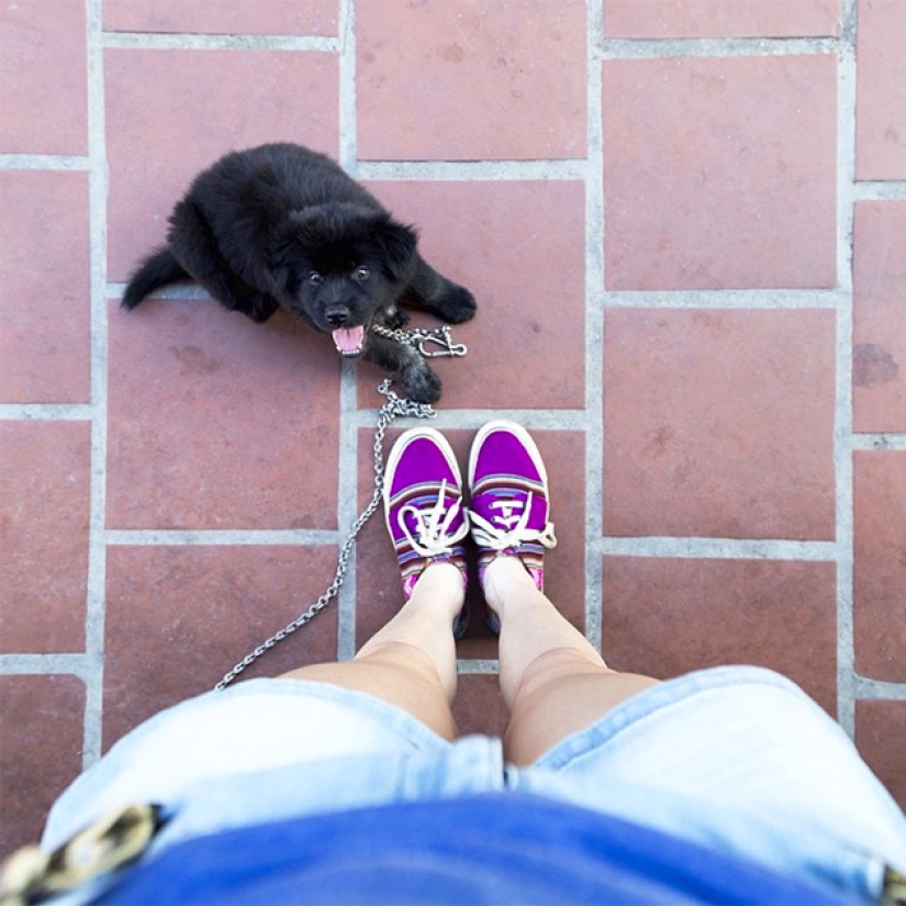 Nogagram. How the limbs of an ordinary girl won the likes of thousands of Instagram users Nogagram. How the limbs of an ordinary girl won the likes of thousands of Instagram users