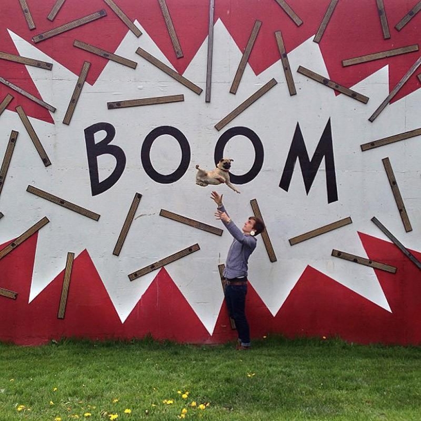 Norm es un perro con muchos roles.