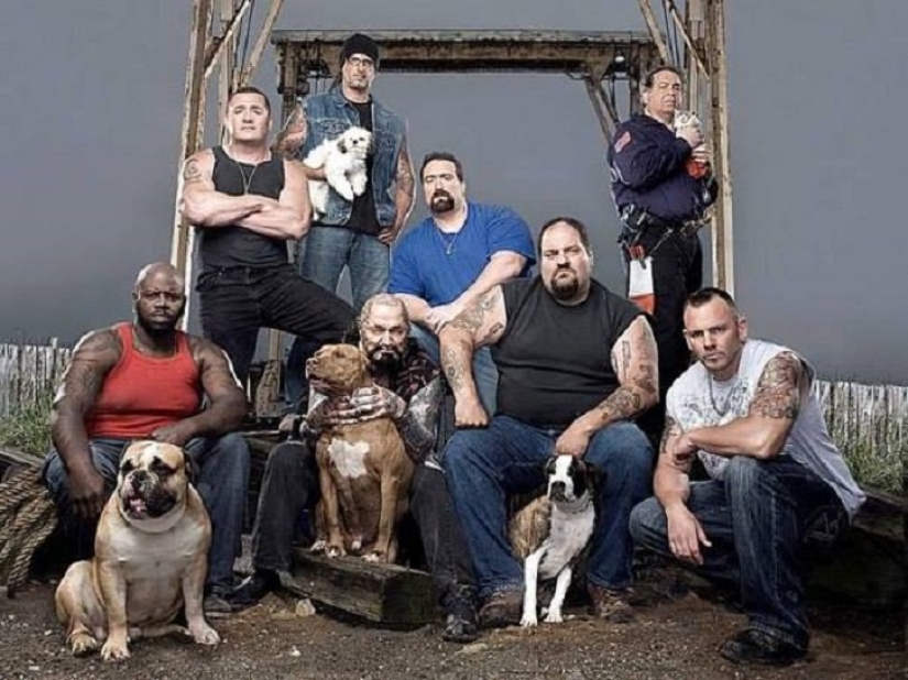 Note to the surgeon! How bikers save animals from cruel owners