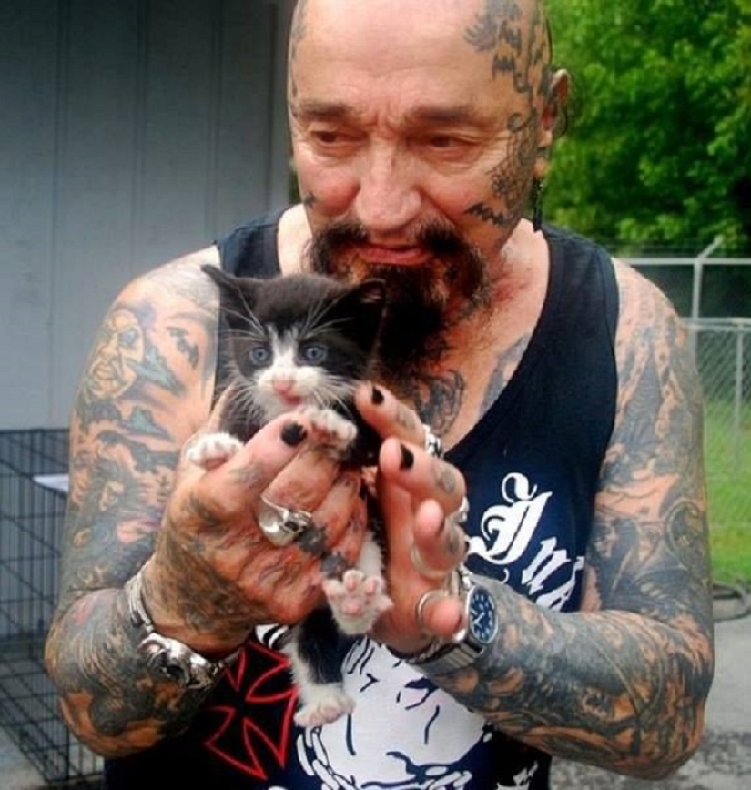 Note to the surgeon! How bikers save animals from cruel owners