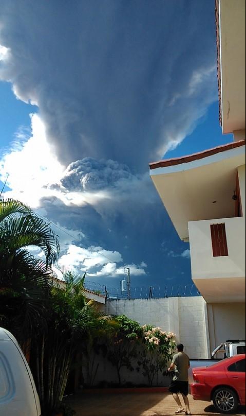 Novedades en imágenes: a finales de 2013 y 2014 Novedades en imágenes: a finales de 2013 y 2014