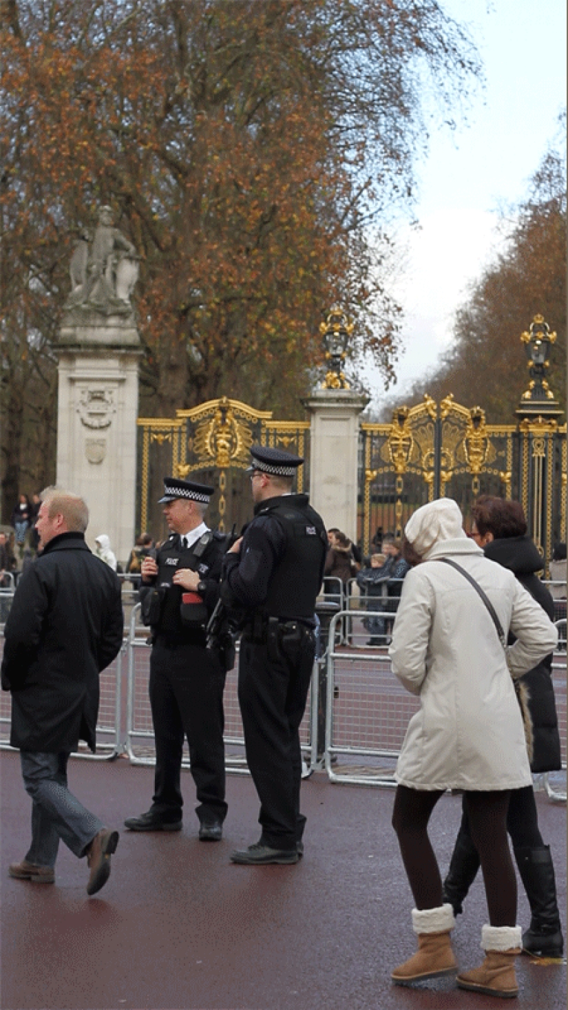 Nueva porción de "fotos en vivo" Nueva porción de "fotos en vivo"