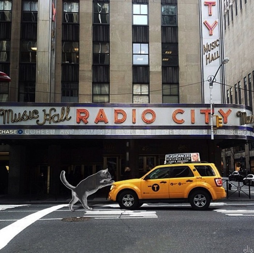 Nueva York alegre a través de los ojos de Eliska Podzimkova