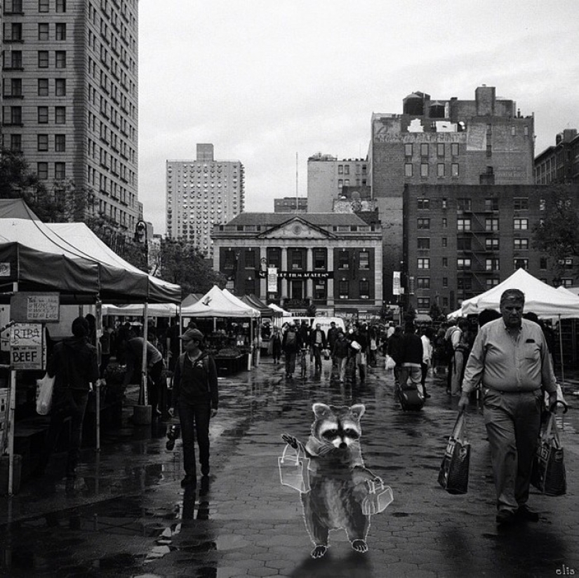 Nueva York alegre a través de los ojos de Eliska Podzimkova