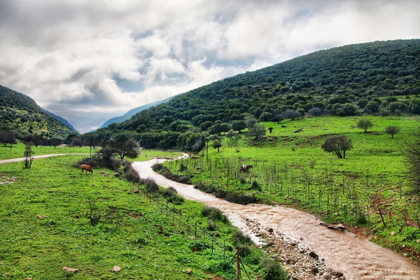 Nunca vas a adivinar dónde: la mezcla de la cultura del mundo y de la naturaleza en un pequeño país de Oriente medio Nunca vas a adivinar dónde: la mezcla de la cultura del mundo y de la naturaleza en un pequeño país de Oriente medio