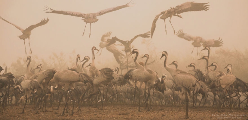 Nunca vas a adivinar dónde: la mezcla de la cultura del mundo y de la naturaleza en un pequeño país de Oriente medio Nunca vas a adivinar dónde: la mezcla de la cultura del mundo y de la naturaleza en un pequeño país de Oriente medio