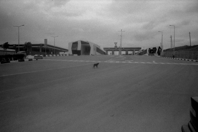 Obras maestras en blanco y negro de Alina Tarabarinova Obras maestras en blanco y negro de Alina Tarabarinova