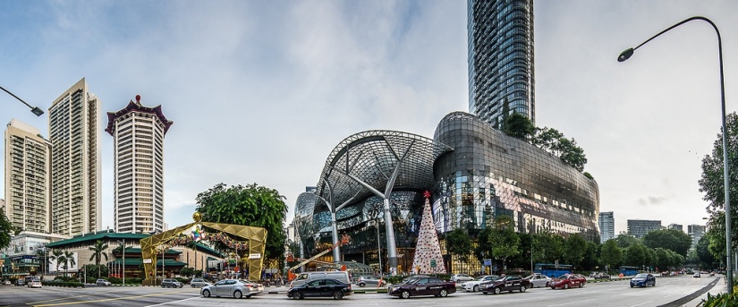 Ochard Road: What Singapore's most famous street looks like before Christmas and New Year Ochard Road: What Singapore's most famous street looks like before Christmas and New Year