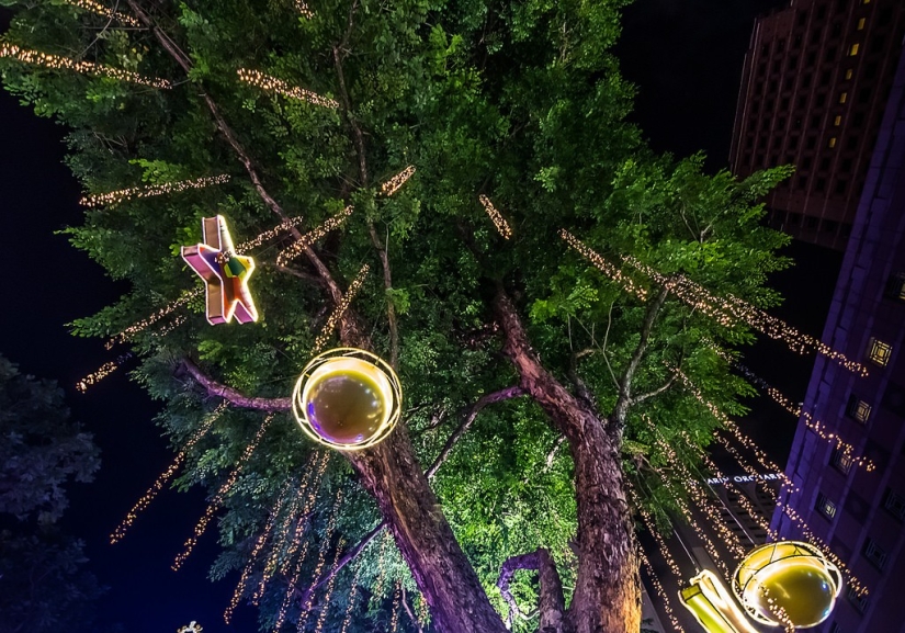 Ochard Road: What Singapore's most famous street looks like before Christmas and New Year Ochard Road: What Singapore's most famous street looks like before Christmas and New Year