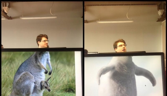 office zoo