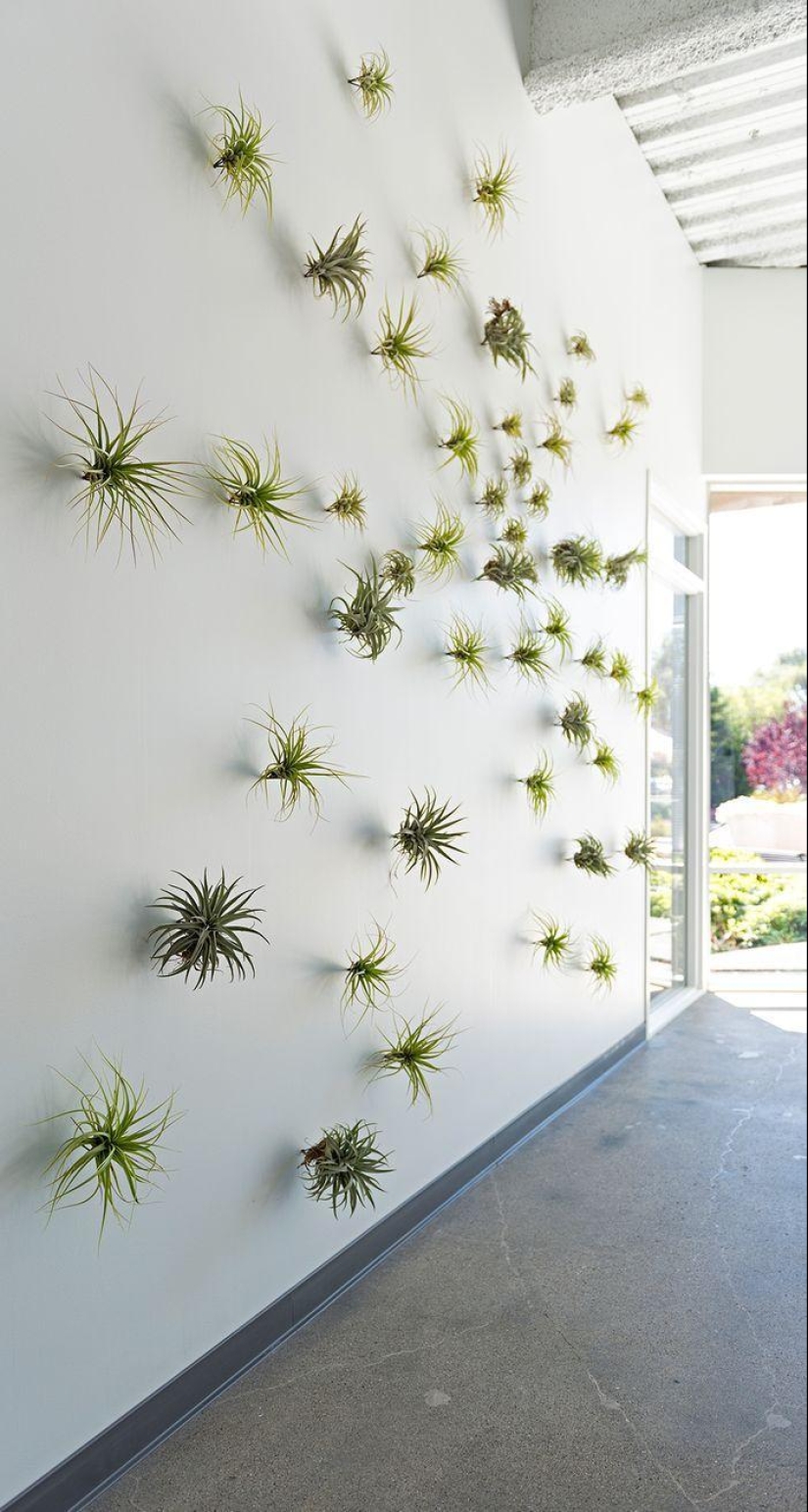 Oficina de Evernote en California