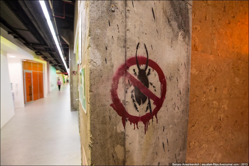 Oficina de Yandex en San Petersburgo