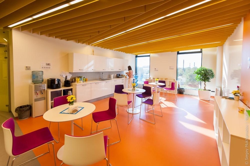 Oficina inusual: ¡Quiero trabajar así!