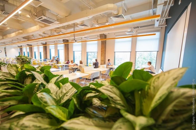 Oficina inusual: ¡Quiero trabajar así!