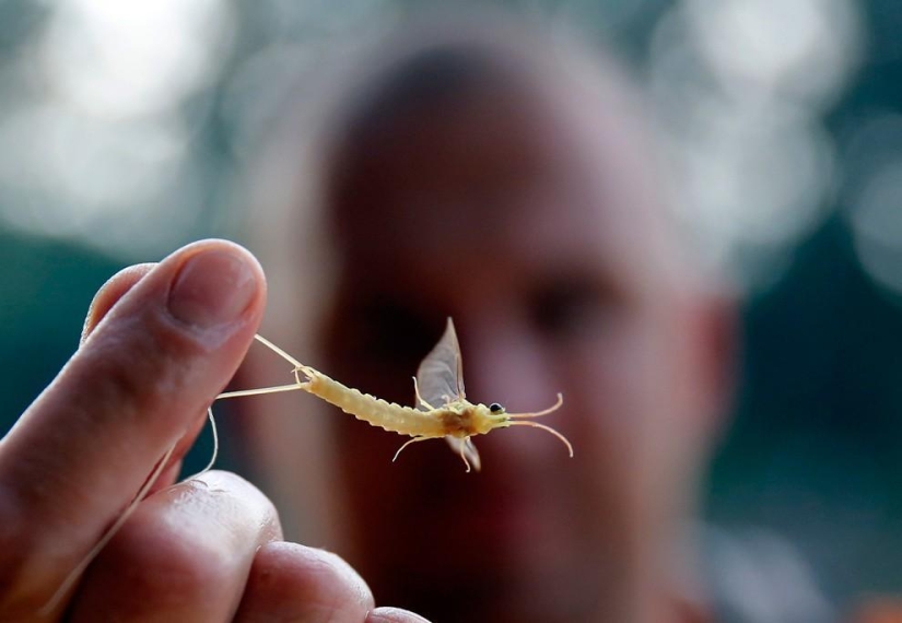 Oh what a wonderful summer! Oh what a wonderful summer!