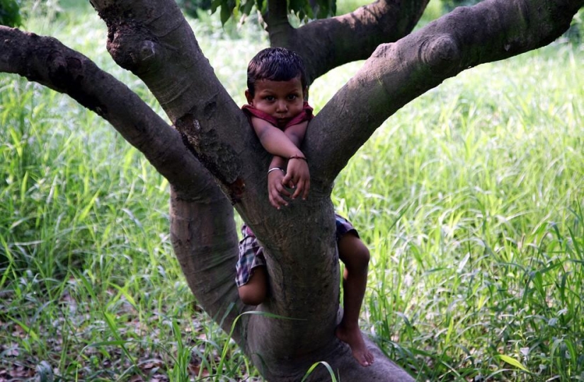 Oh what a wonderful summer! Oh what a wonderful summer!