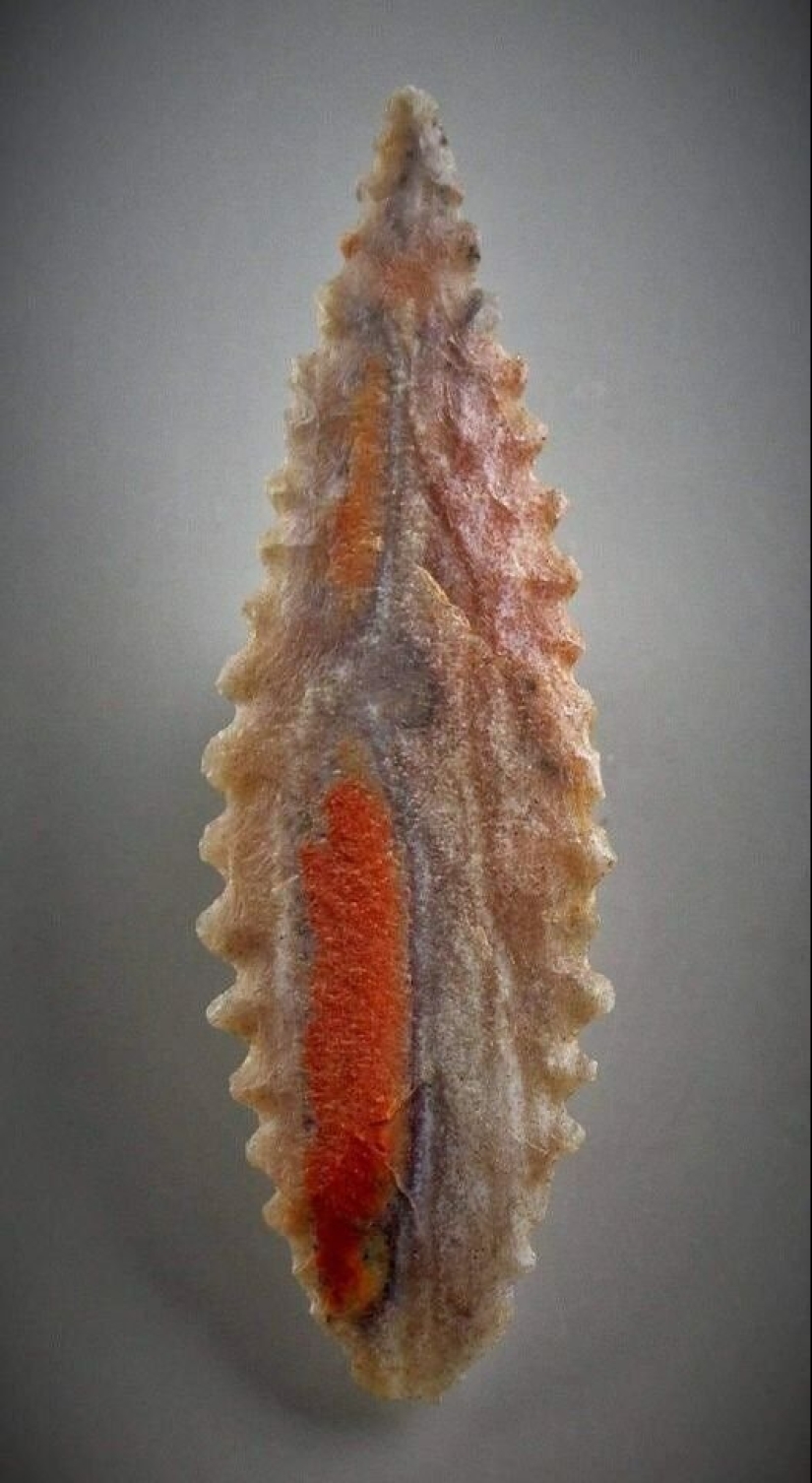 Older than ancient: 12 incredibly valuable artifacts of history Older than ancient: 12 incredibly valuable artifacts of history