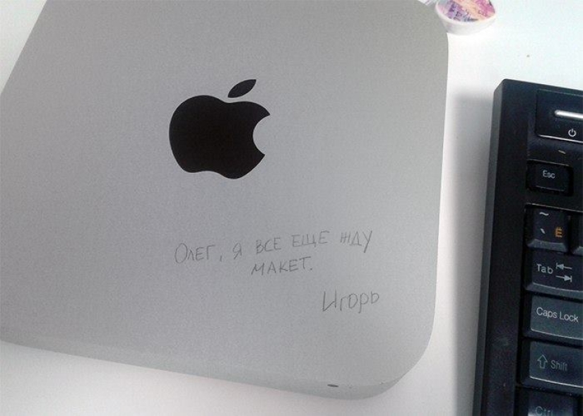 "Oleg, ¿dónde está el diseño? Igor": la historia del amor no correspondido del gerente por el diseñador "Oleg, ¿dónde está el diseño? Igor": la historia del amor no correspondido del gerente por el diseñador