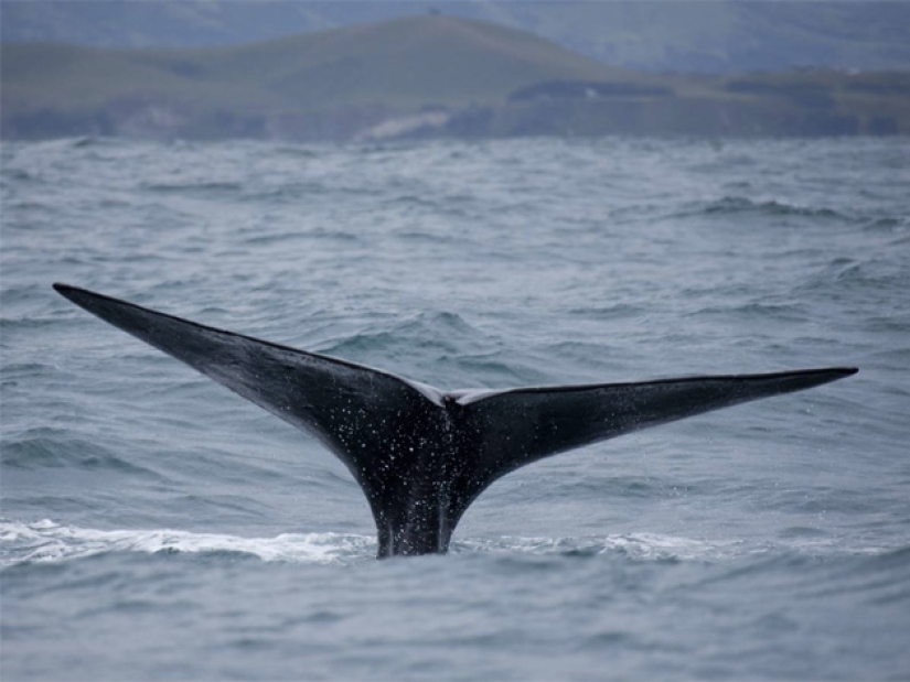 On the verge of life and death On the verge of life and death