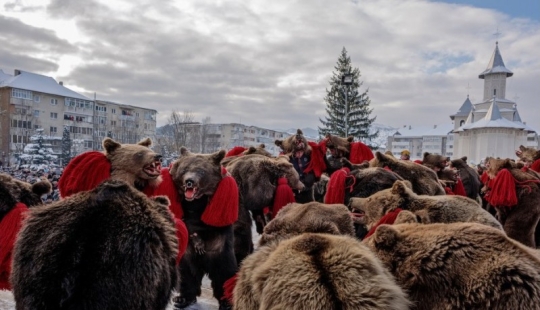Oso baila en Rumania para ahuyentar malos espíritus Oso baila en Rumania para ahuyentar malos espíritus