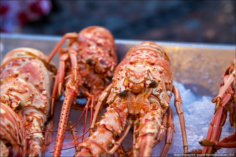 Ostras por tres kopeks o un mercado de pescado a orillas del Canal de la Mancha