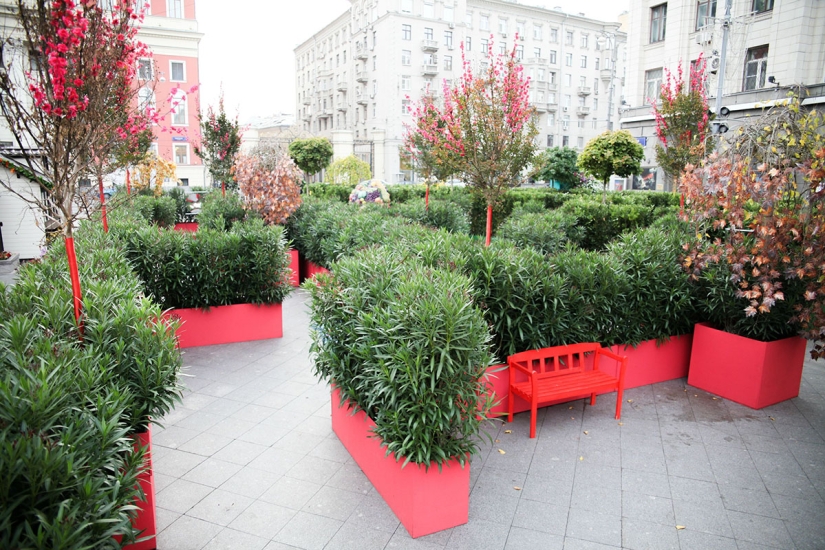 Otoño gastronómico en Moscú Otoño gastronómico en Moscú