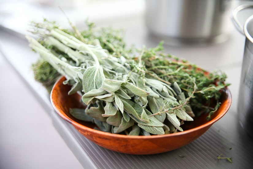 Otoño gastronómico en Moscú Otoño gastronómico en Moscú