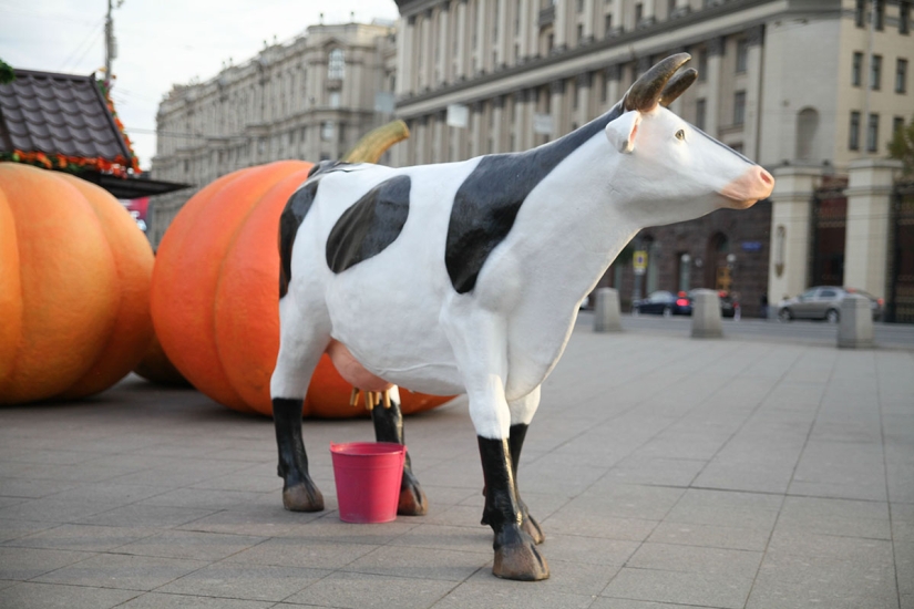Otoño gastronómico en Moscú Otoño gastronómico en Moscú