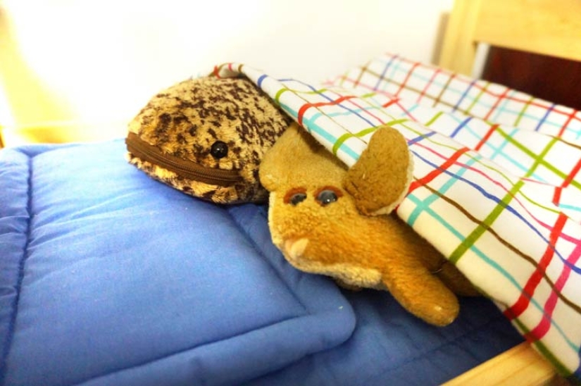 Otra locura japonesa: cafetería para peluches Otra locura japonesa: cafetería para peluches