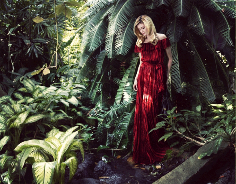 Otra tanda de fotos en vivo