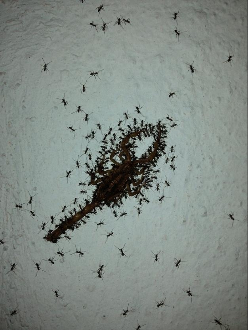 Otro viaje de un teléfono robado