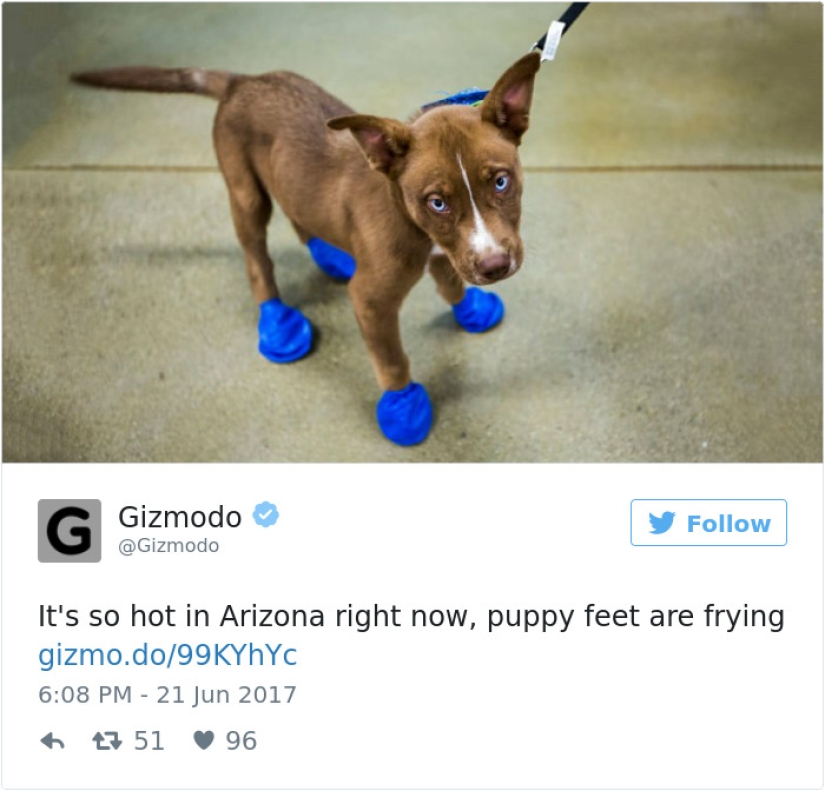 Our summer has gone to Arizona: Americans post photos of how everything melts around