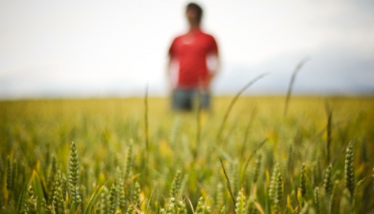 Out of Focus: Helpful Hints