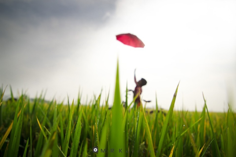 Out of Focus: Helpful Hints Out of Focus: Helpful Hints