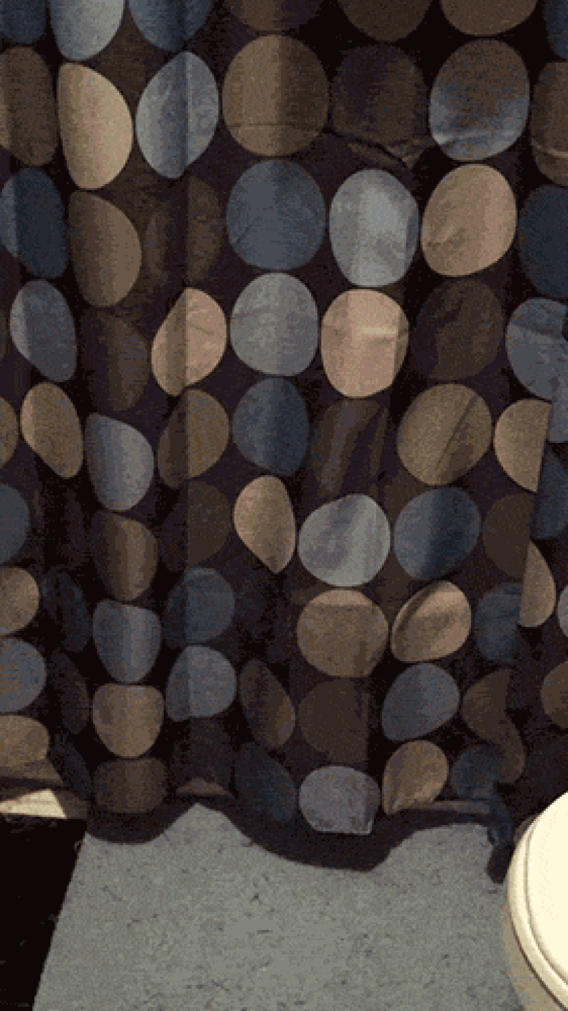 Overly curious cats Overly curious cats