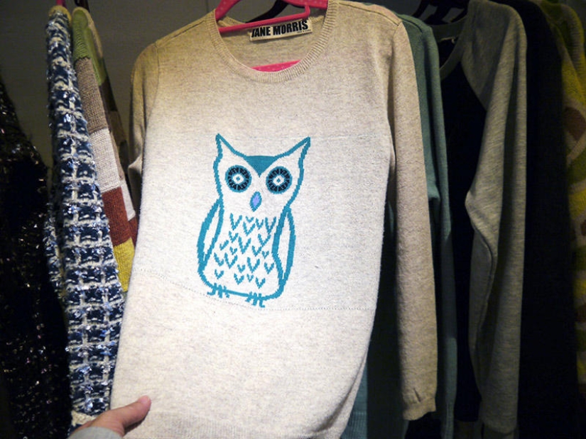 Owl café opens in Japan Owl café opens in Japan