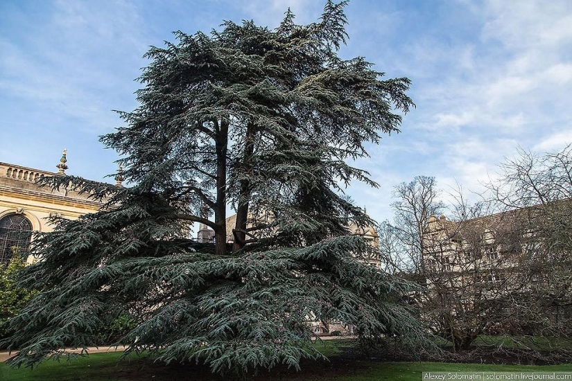 Oxford. Oxford University. Christmas Knowledge Day