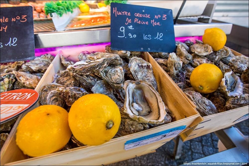 Oysters for three kopecks or a fish market on the shores of the English Channel Oysters for three kopecks or a fish market on the shores of the English Channel