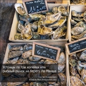 Oysters for three kopecks or a fish market on the shores of the English Channel