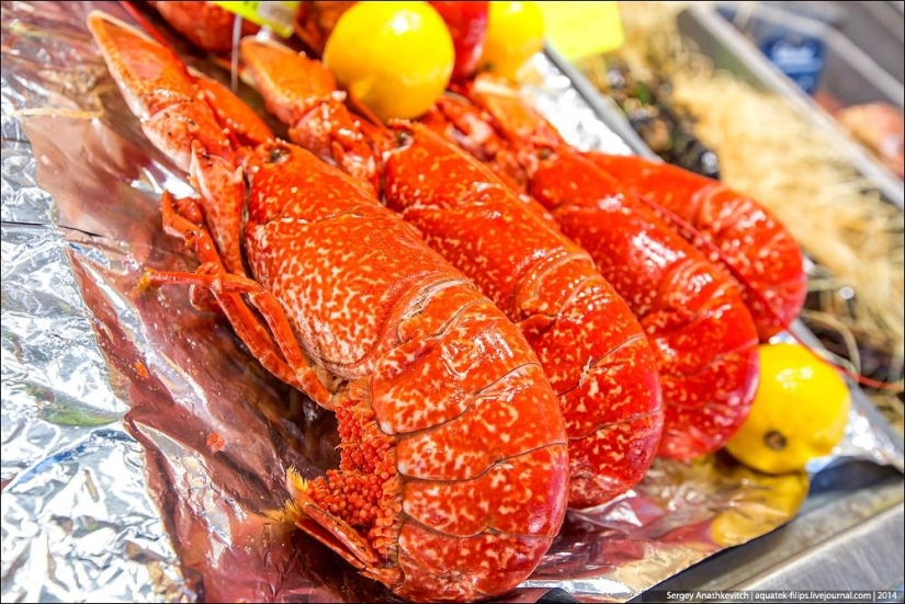 Oysters for three kopecks or a fish market on the shores of the English Channel Oysters for three kopecks or a fish market on the shores of the English Channel