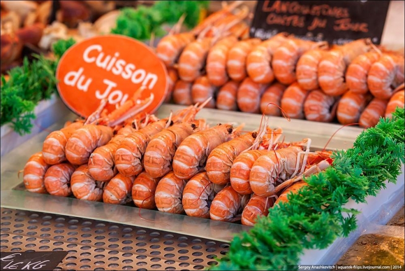 Oysters for three kopecks or a fish market on the shores of the English Channel Oysters for three kopecks or a fish market on the shores of the English Channel