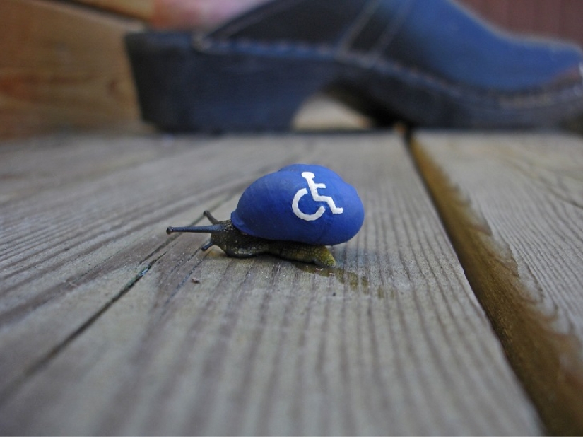 Painted snails - mobile gallery!