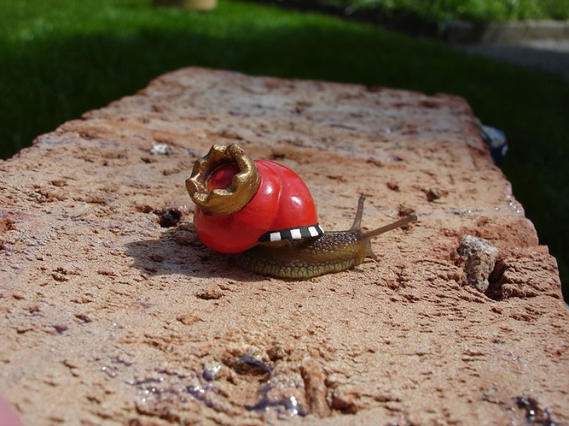 Painted snails - mobile gallery!