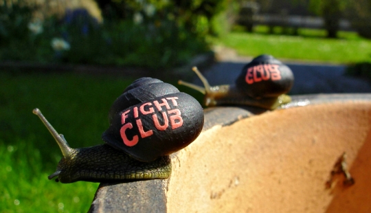 Painted snails - mobile gallery!