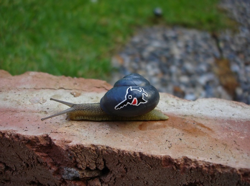 Painted snails - mobile gallery!