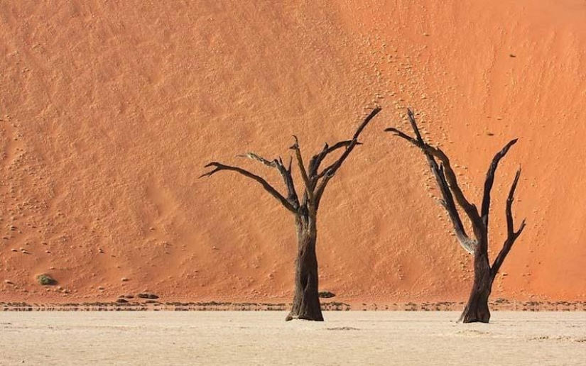 Paisajes surrealistas del parque Namib-Naukluft