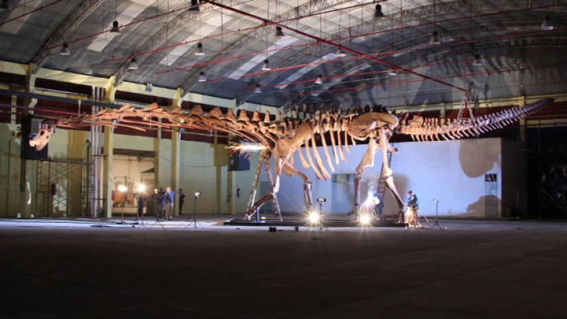 Paleontólogos han desenterrado un dinosaurio del tamaño de un Boeing 737 en la Patagonia