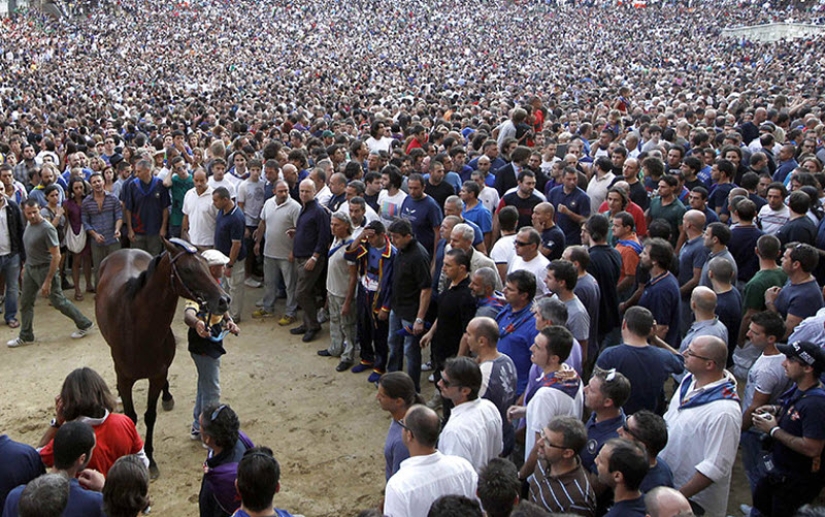 Palio en Siena: carreras de caballos con siglos de tradición Palio en Siena: carreras de caballos con siglos de tradición