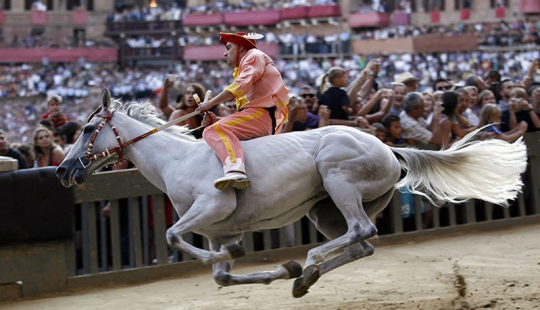 Palio en Siena: carreras de caballos con siglos de tradición Palio en Siena: carreras de caballos con siglos de tradición