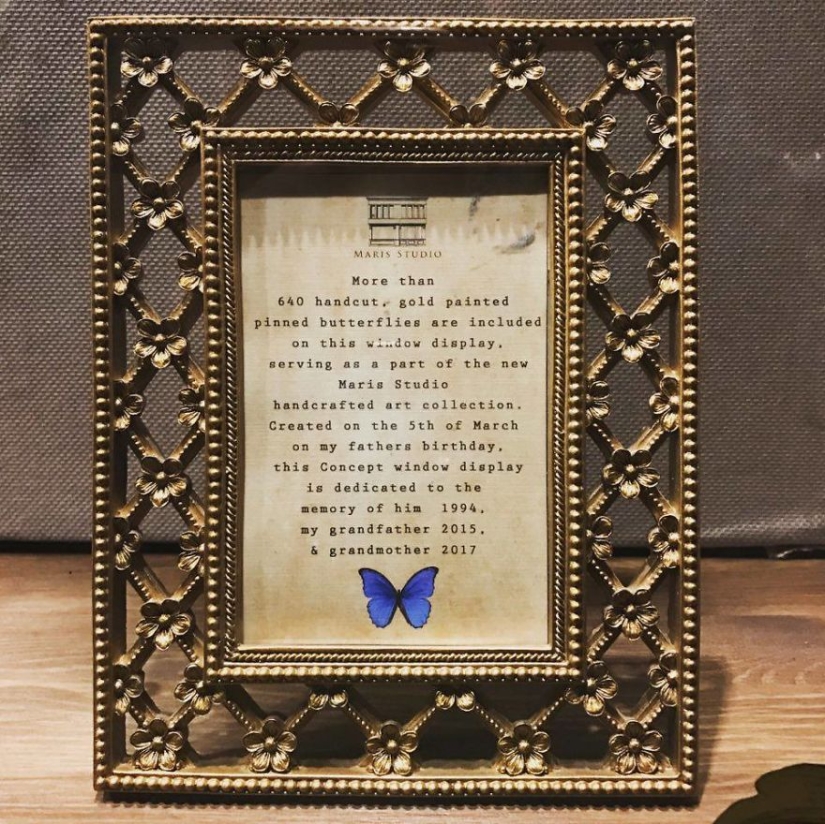 Paper grief: a girl carved more than 800 paper butterflies in memory of her late grandmother